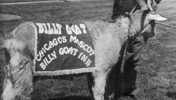 La maldición de la cabra, el hechizo que rompieron los Chicago