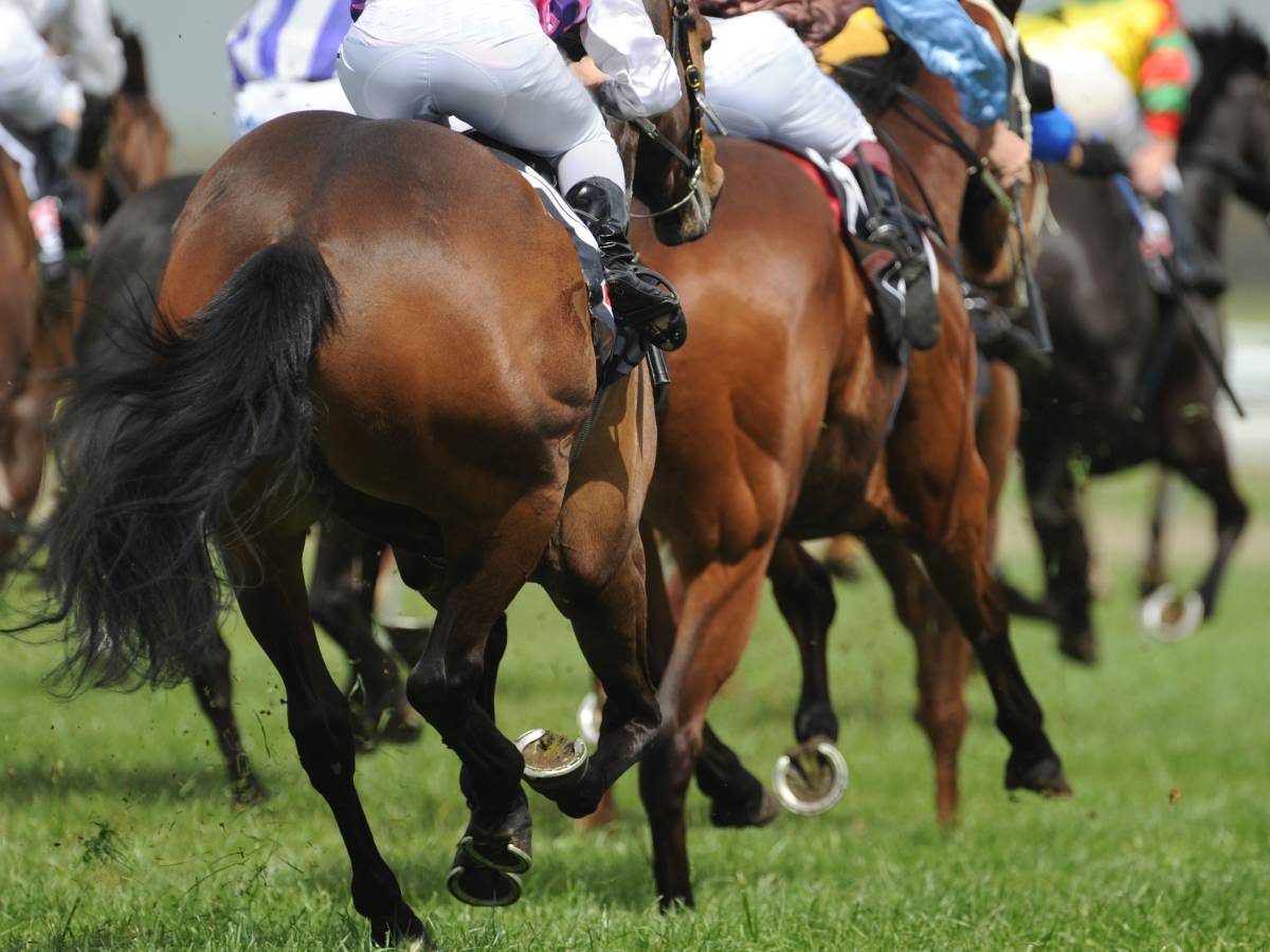 Importancia carreras de caballos Latinoamérica - Mi Casino