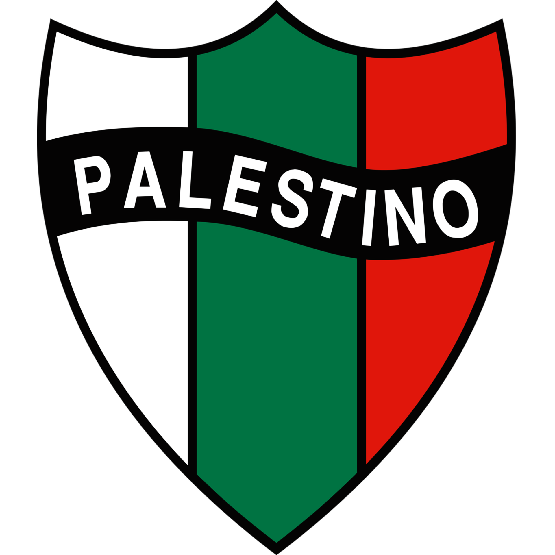 club deportivo palestino