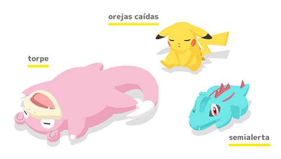 como duermen los pokemon