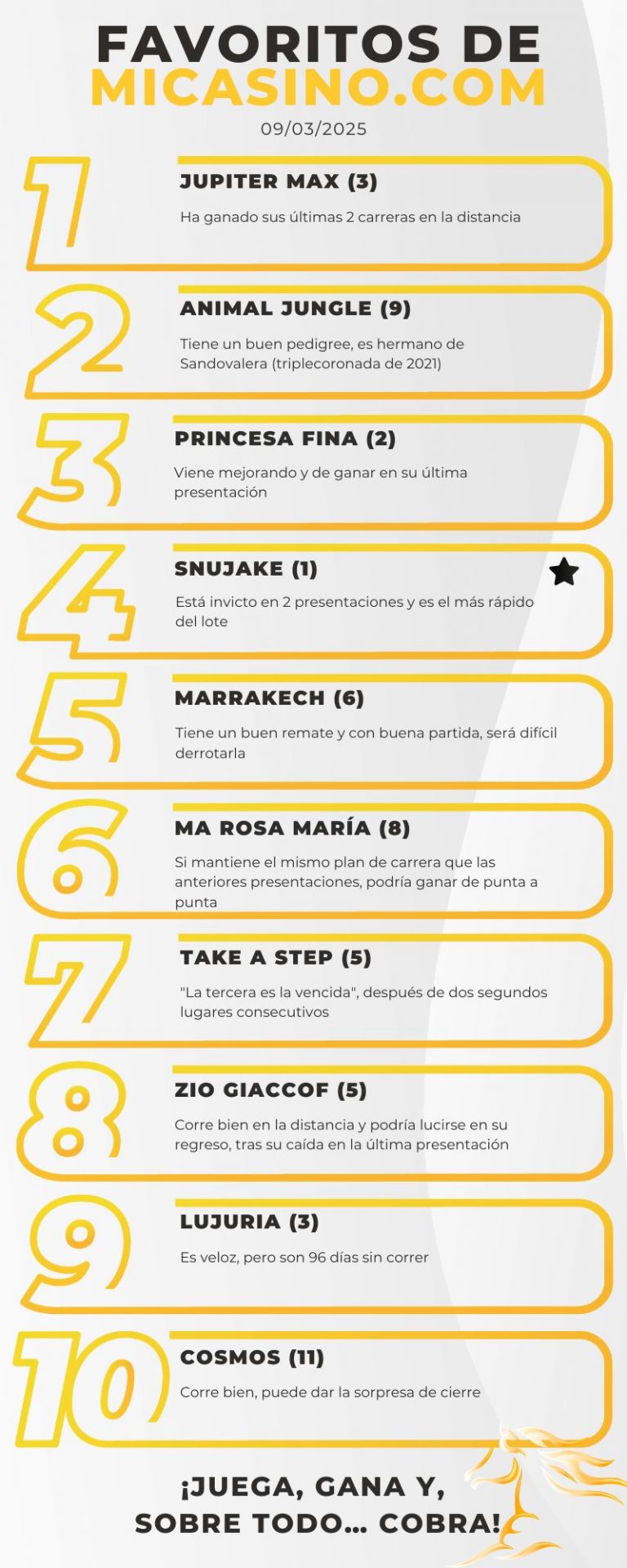 Hipismo venezolano: parley del 5y6 con los caballos ganadores - MiCasino.com