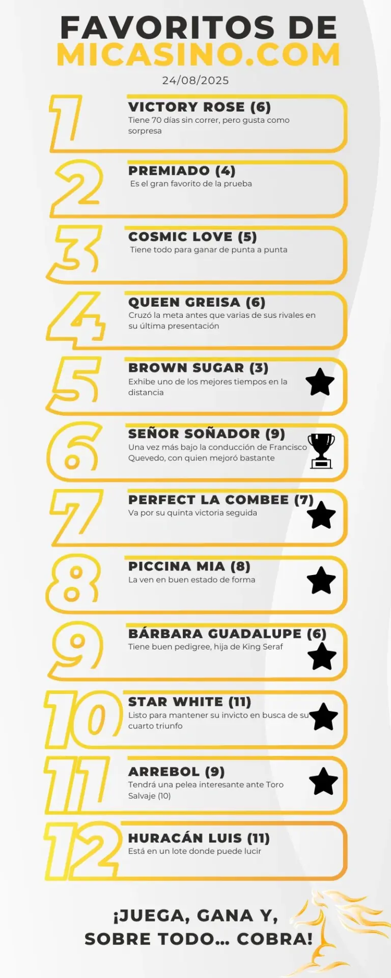 Reunión 32 La Rinconada Favoritos 5y6 24 agosto 2025 - MiCasino.com