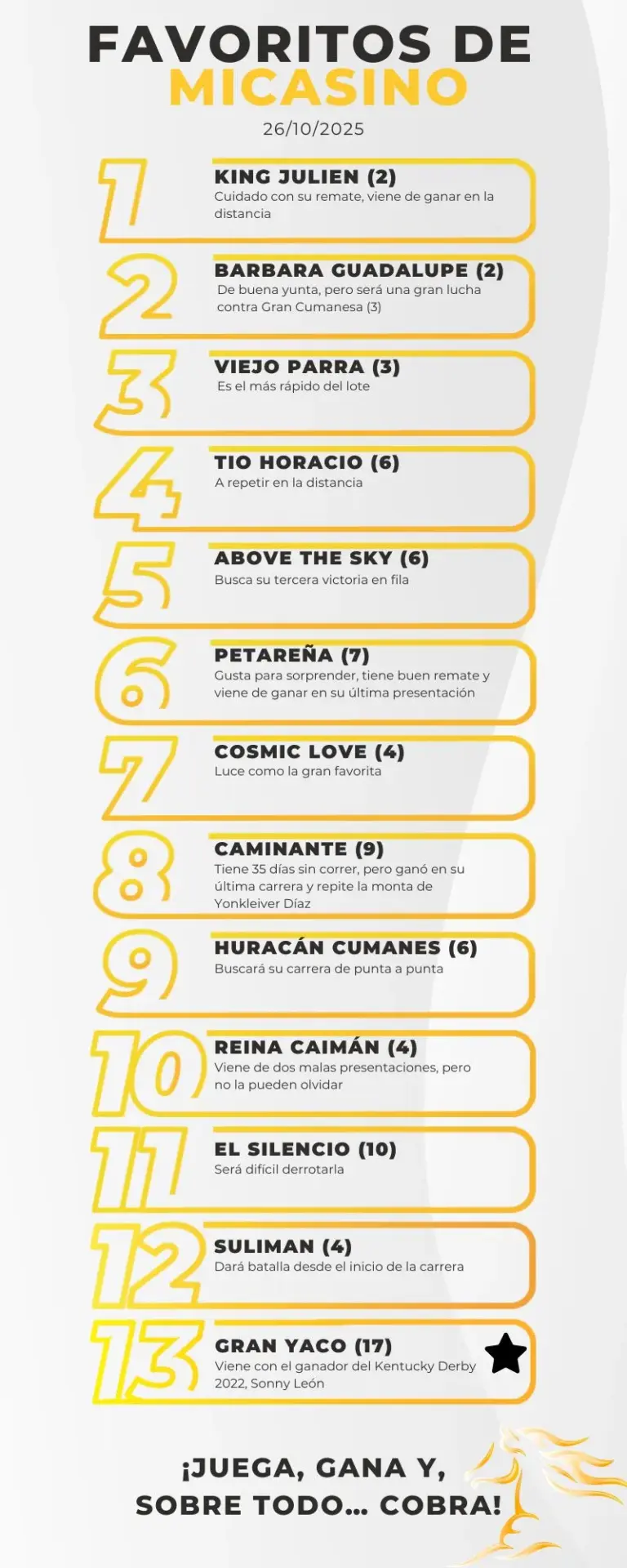 datos-para-la-rinconada-este-domingo-26-de-octubre-2025