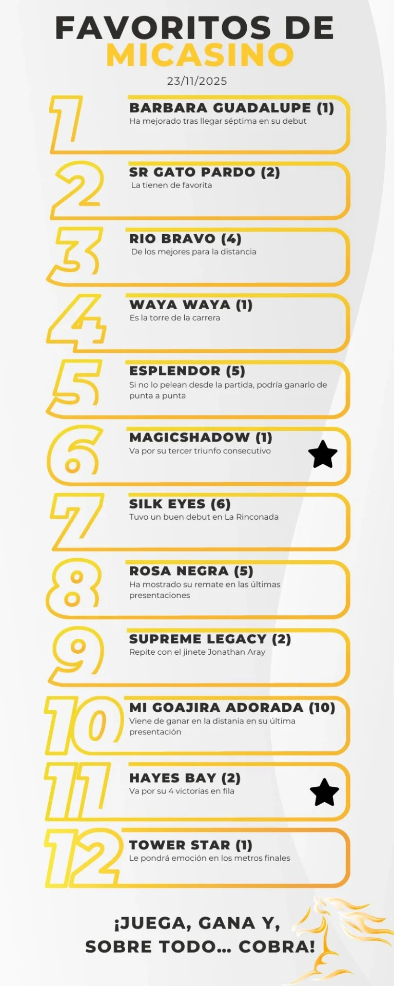 Reunión 45 del 5y6 - Los favoritos a ganar HIpódromo La Rinconada 23-11-2025 - MiCasino