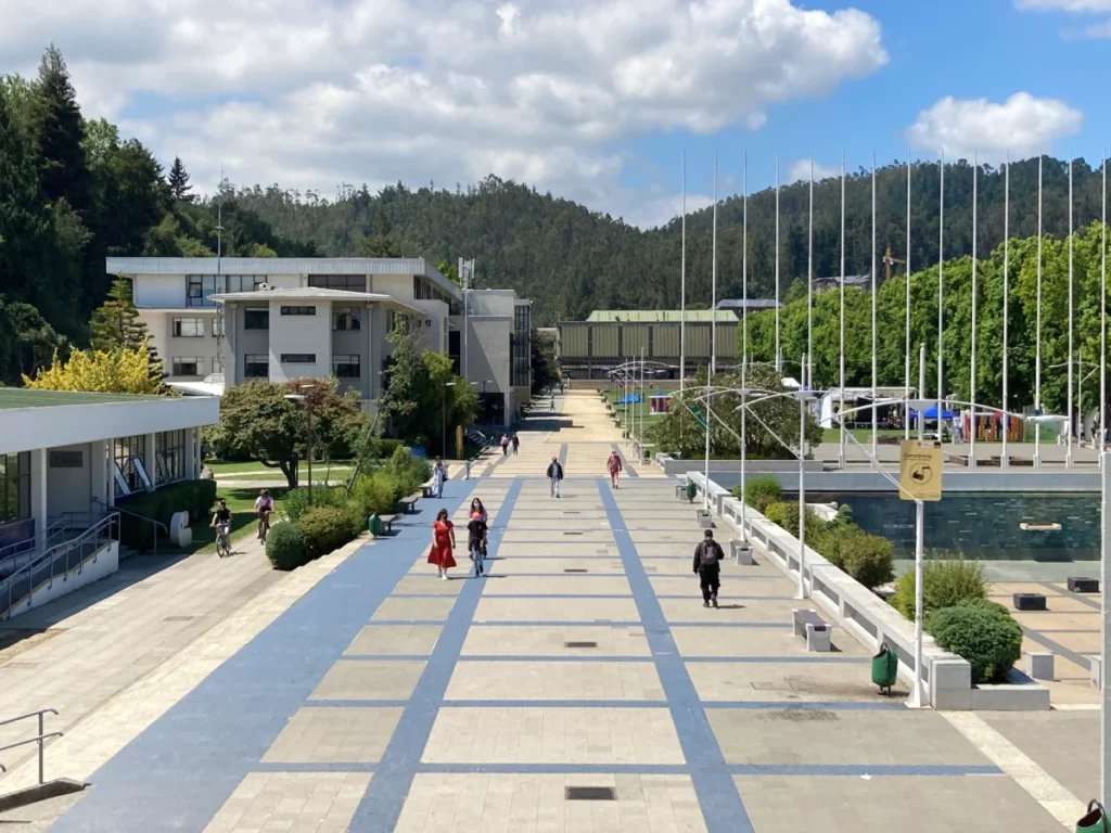 Descubre-las-4-mejores-universidades-chilenas-y-que-carreras-estudiar-en-ellas-universidad-de-chile-universidad-de-concepcion-MiCasino